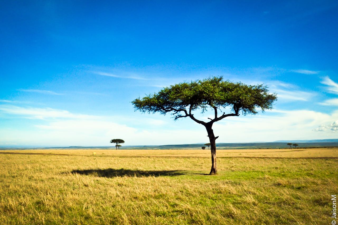 Jaison Mandapathil Photography Nature