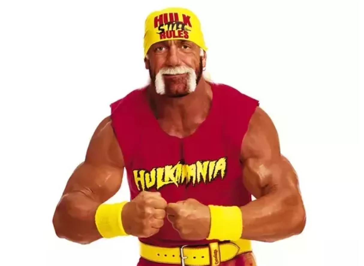 WWE Hulk Hogan