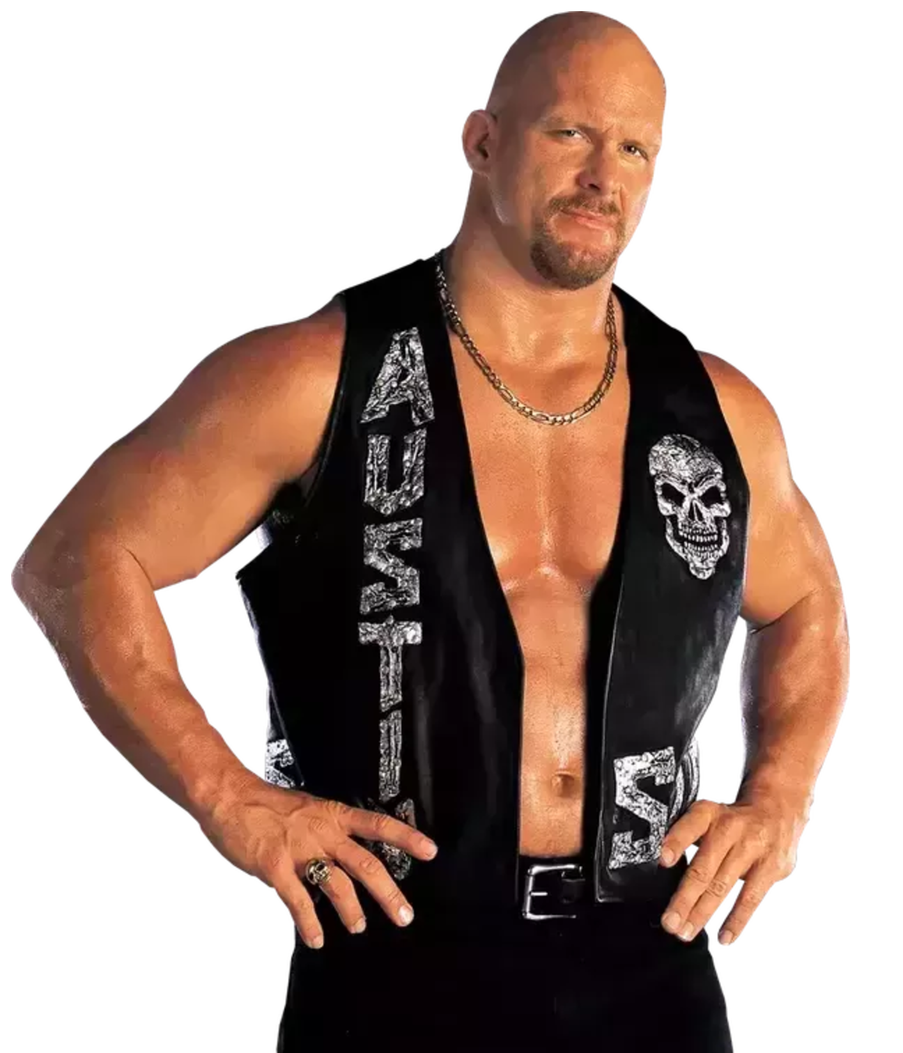 WWE Stone Cold Steve Austin